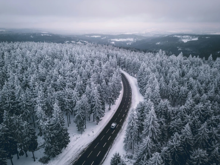 aerial view of snow covered road near pine trees