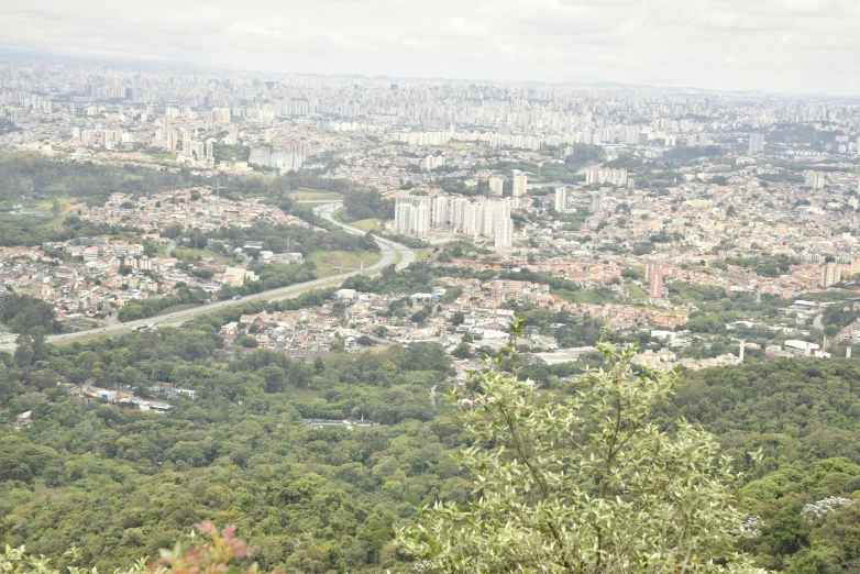 the city is below the green trees in the hills