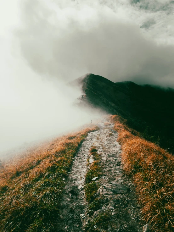 a trail leading to the mountain under a cloudy sky