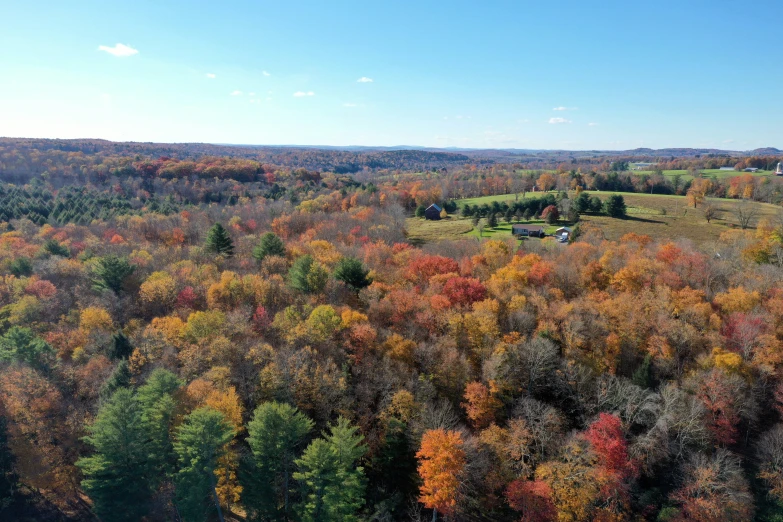 colorful autumn trees and houses are featured in this aerial view