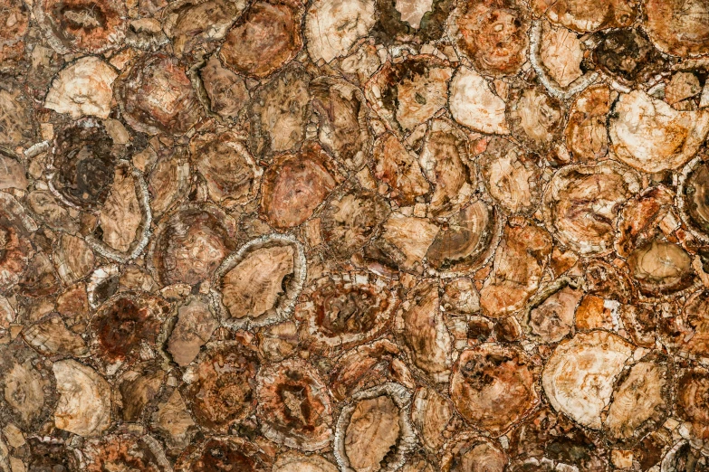 textured stone wall with orange brown and white colors