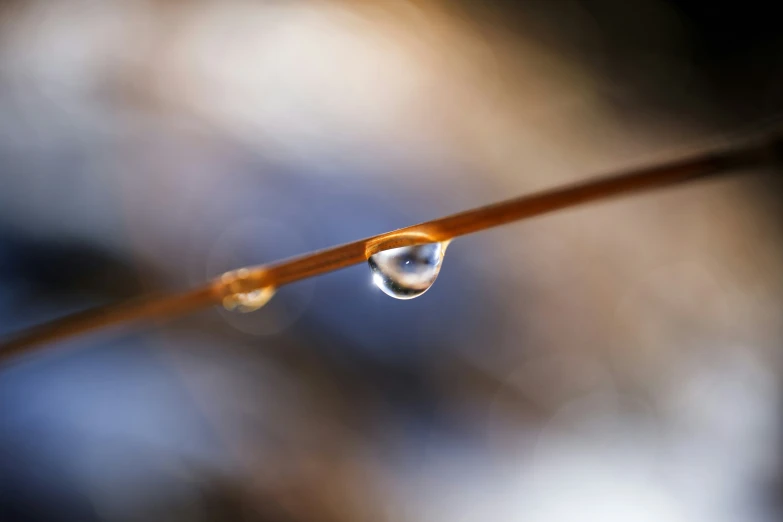 close up of a water drop hanging on a blade