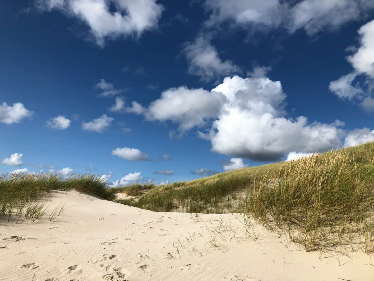 a beach covered in sand and grass under clouds