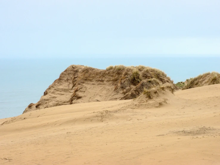 a brown giraffe sitting on top of a sandy hill