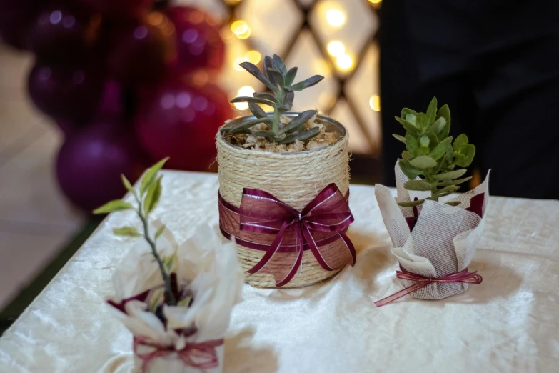 two small pots that are wrapped with twine rope