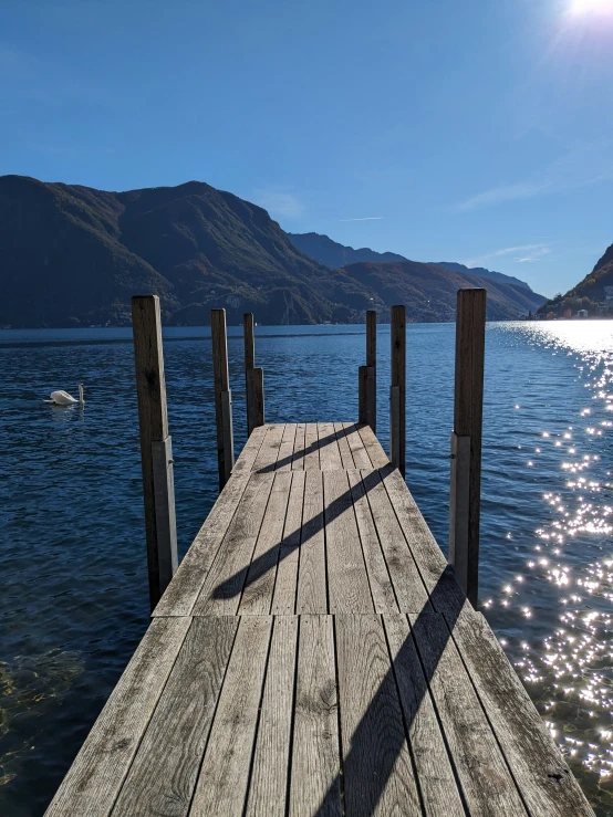 some wooden planks and some white birds in the water