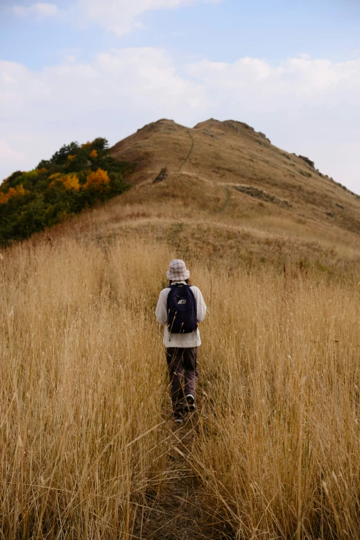 a person hiking up a trail in tall grass