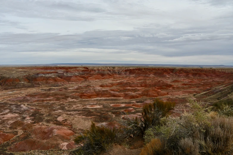 the open expanse is full of red colored rocks