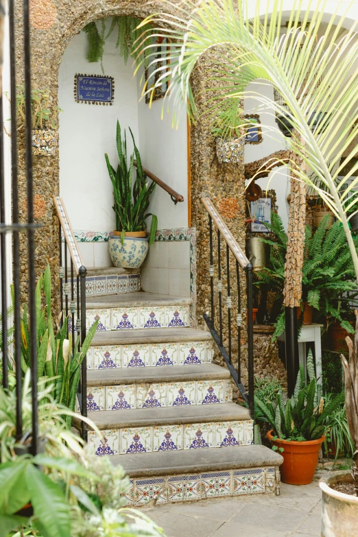 pots and plants on a stone stair case