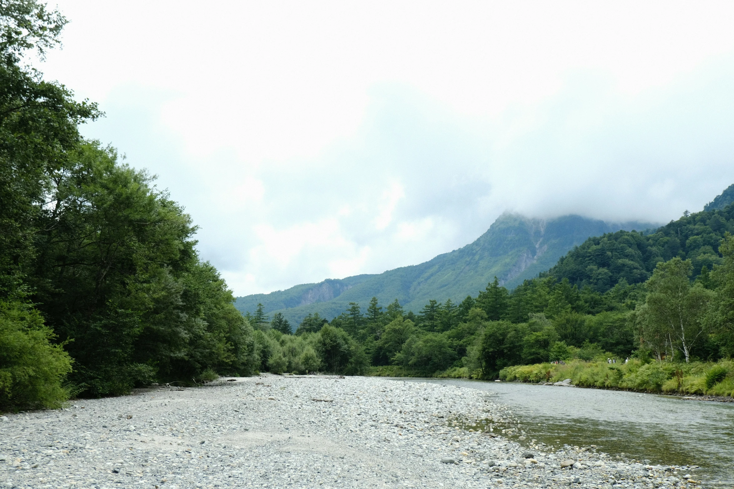 a mountain river runs along it through a forest