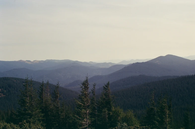 a mountain landscape is shown with green trees in the foreground