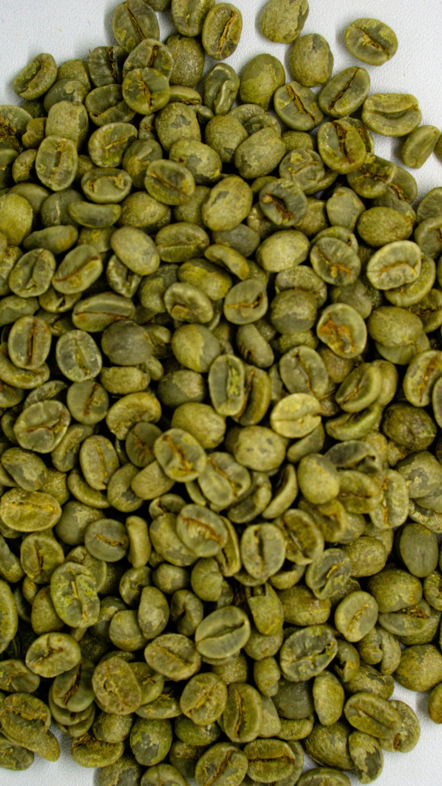 a pile of green coffee beans with one of the seeds over top