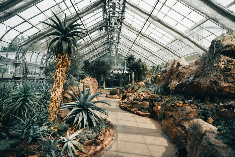 an inside view of a tropical greenhouse with a waterfall