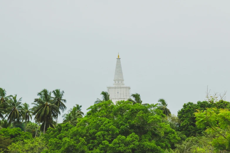 trees surround the top of a large white tower