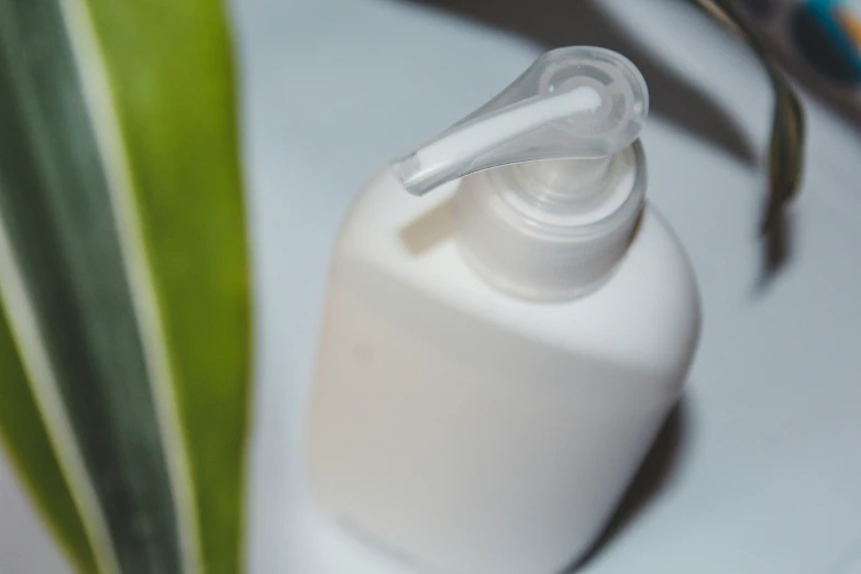 an empty plastic bottle sits next to a green plant