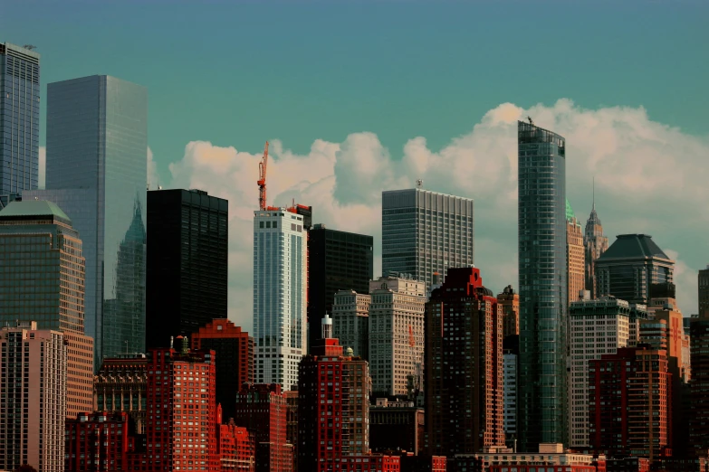 tall buildings line the skyline of a city