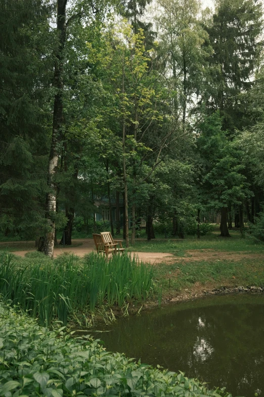 the wooden bench is near a small lake