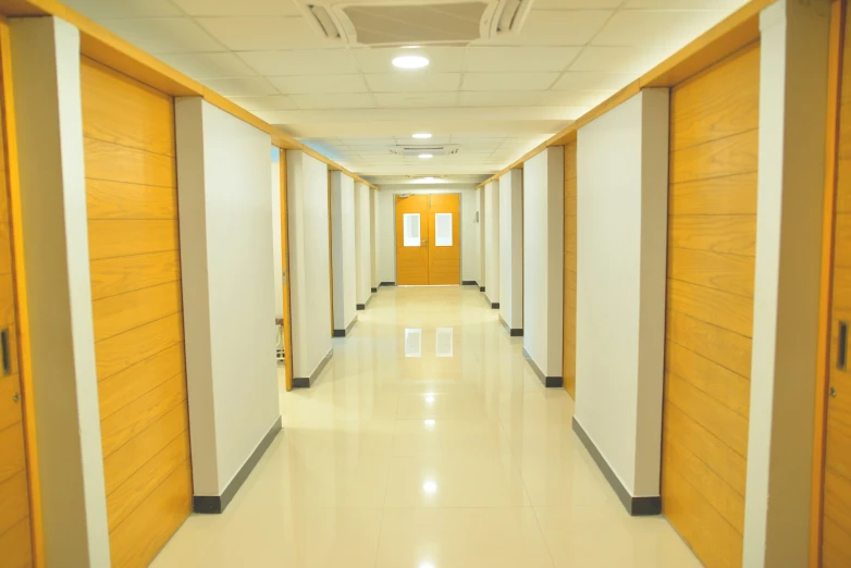 the hallway has many yellow doors in it