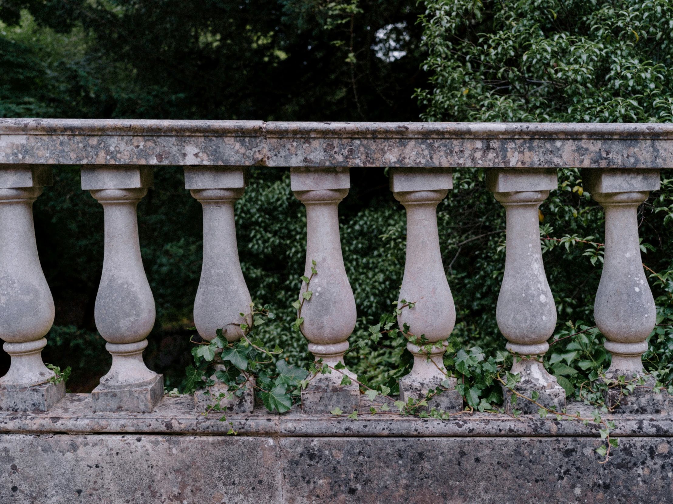 the stone railing is holding green vines and greenery