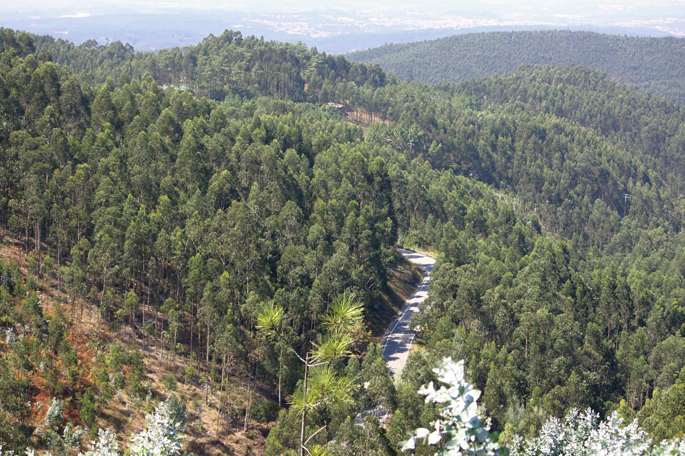 the top of a mountain with a stream running through it