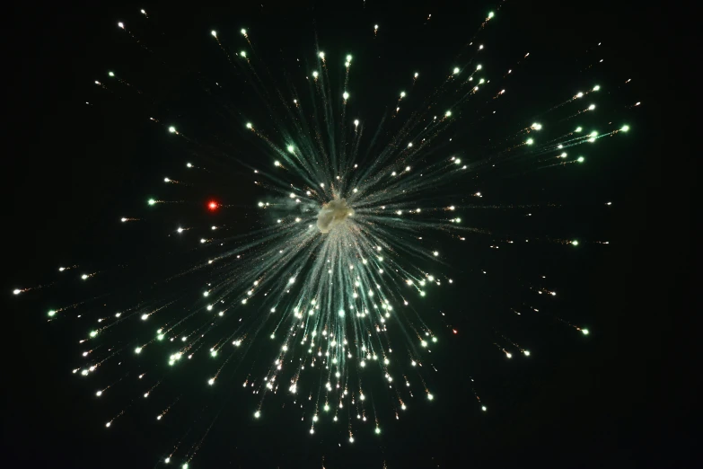 a fireworks is exploding out of the sky