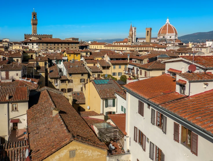 roofs in a town with an old cathedral in the background