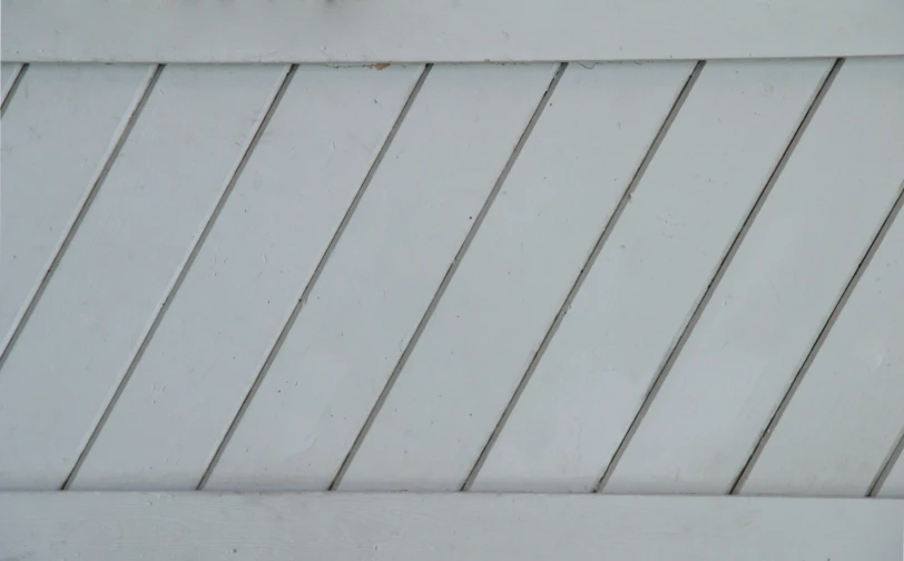 a bird with its head perched in front of a wall