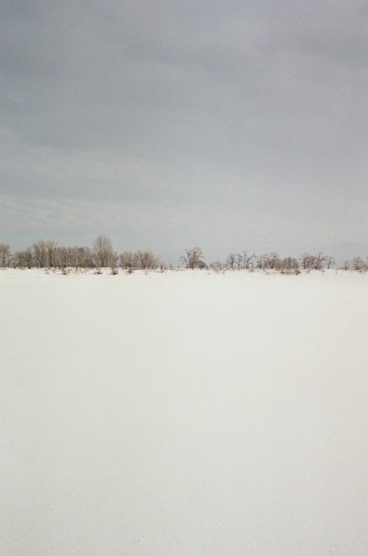 snow covered field with a few trees near it