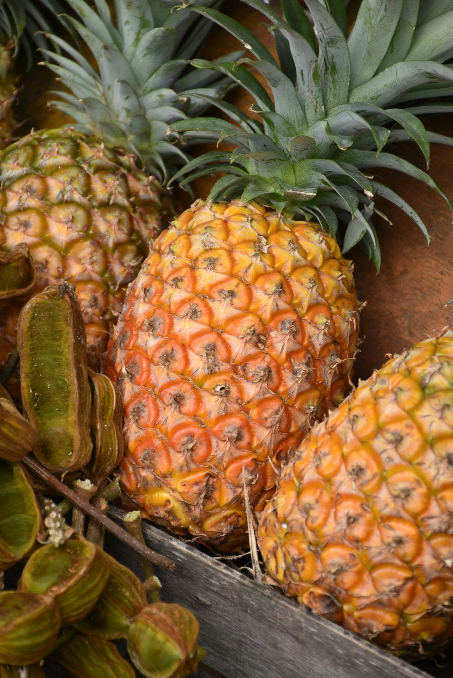 a collection of fruit including a pineapple and bananas