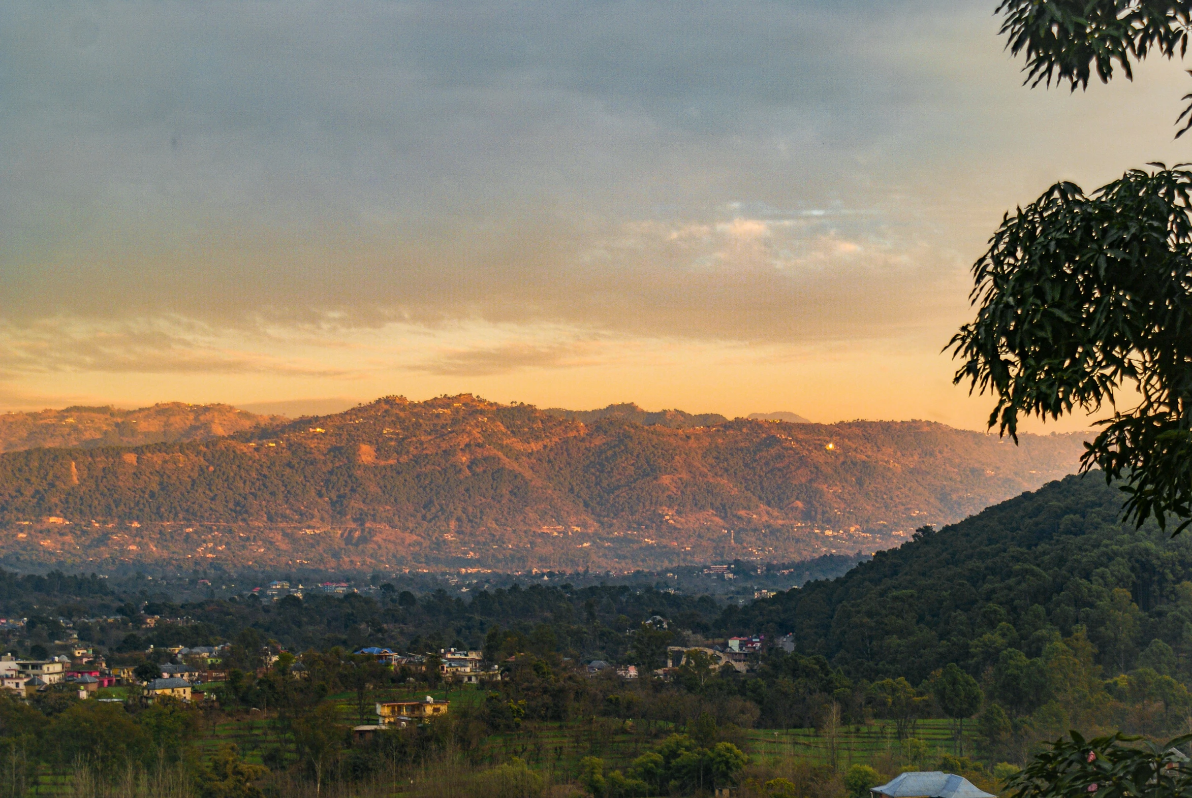 view of a valley with mountains in the distance and trees in the foreground