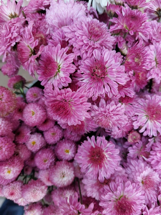 some pink flowers are gathered together in a vase