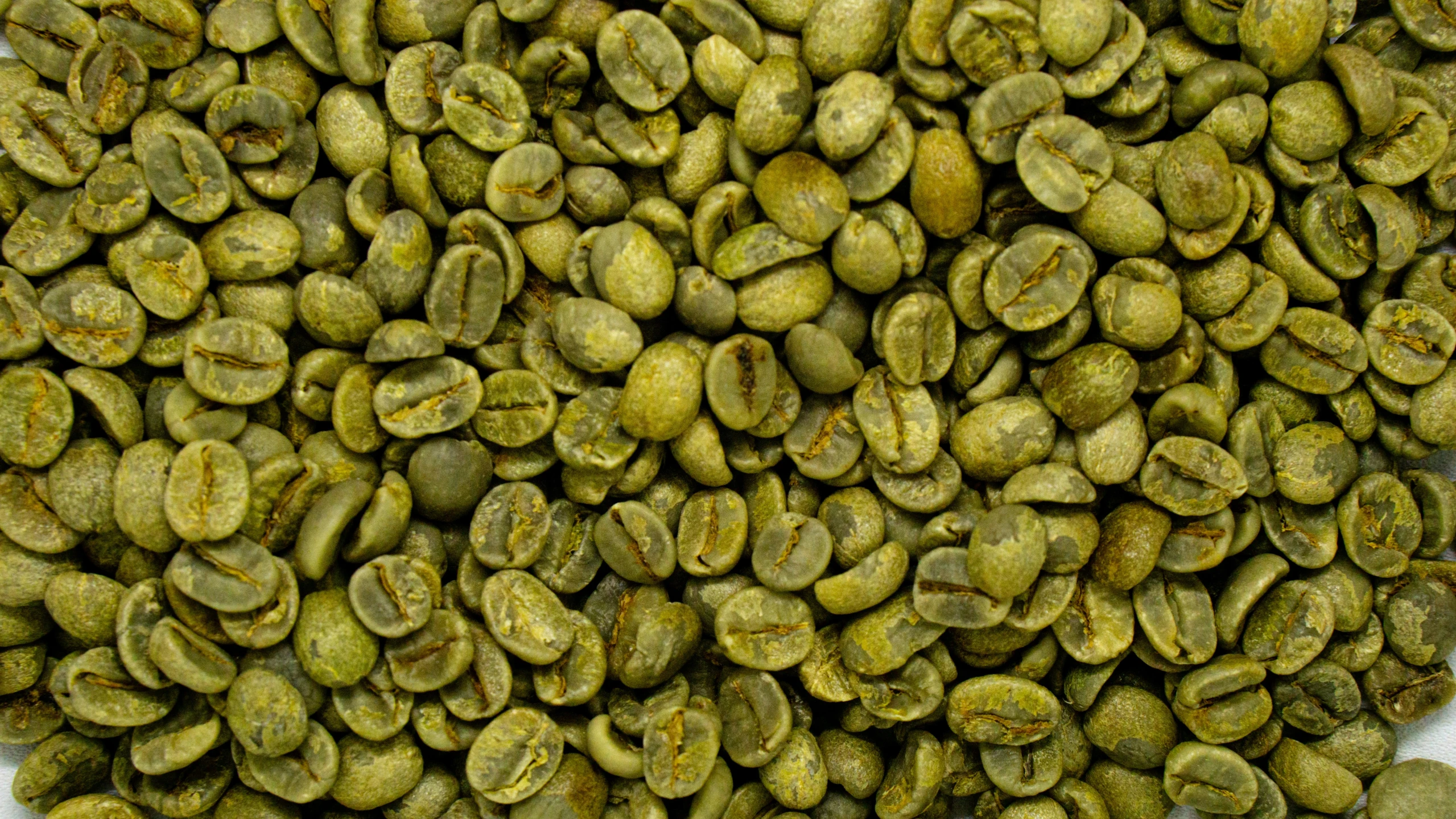 green beans have been roasted and displayed on a white background