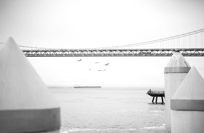 birds flying over the water below a bridge