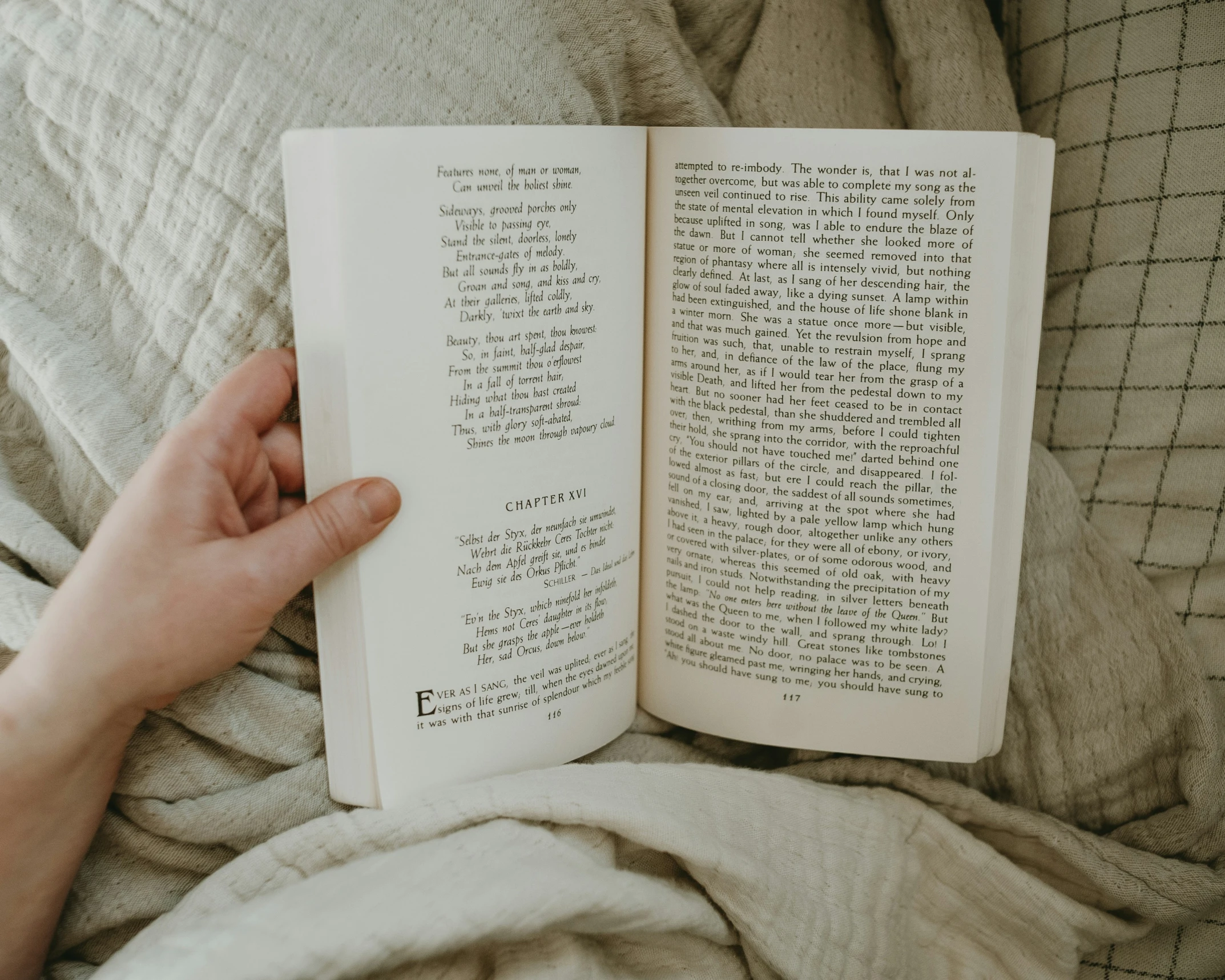 someone holding open a book in their bed