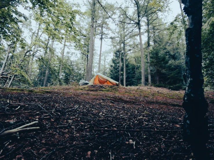 an orange tent set up in the woods with leaves around it