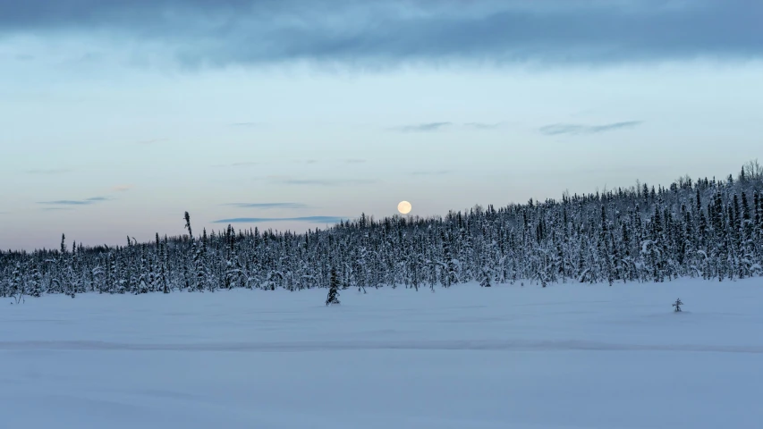 a full moon setting above a forest in the distance