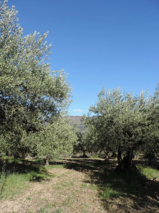 an image of an outdoor area in the daytime