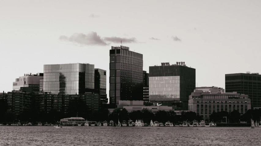 there are a lot of tall buildings on this beach