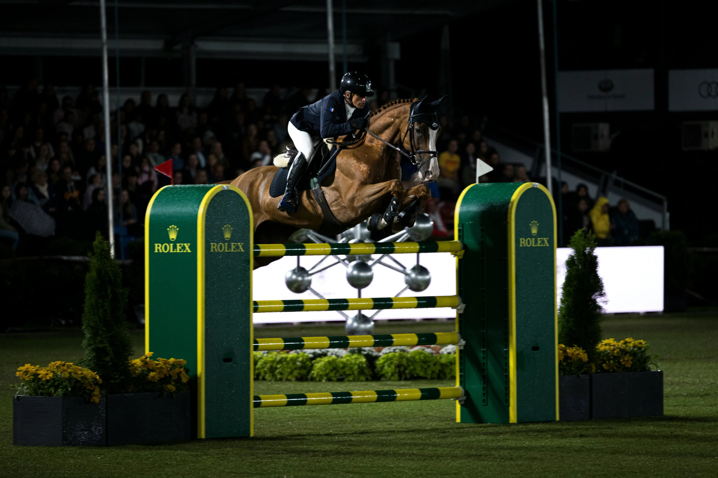 a horse jumping over a fence on a field