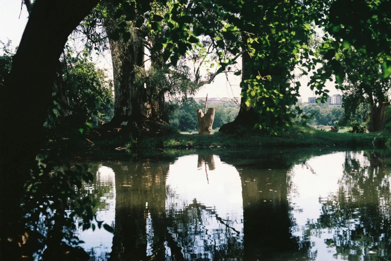 a body of water surrounded by trees and grass