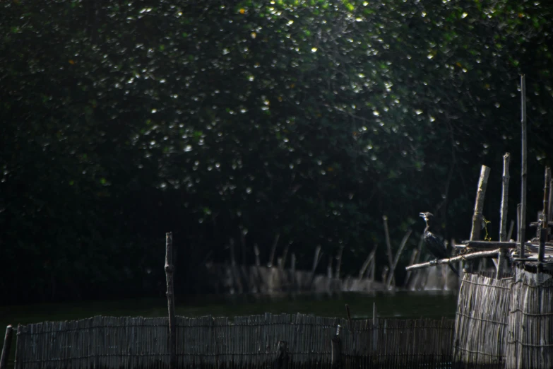 a person on a motorcycle is riding in the water