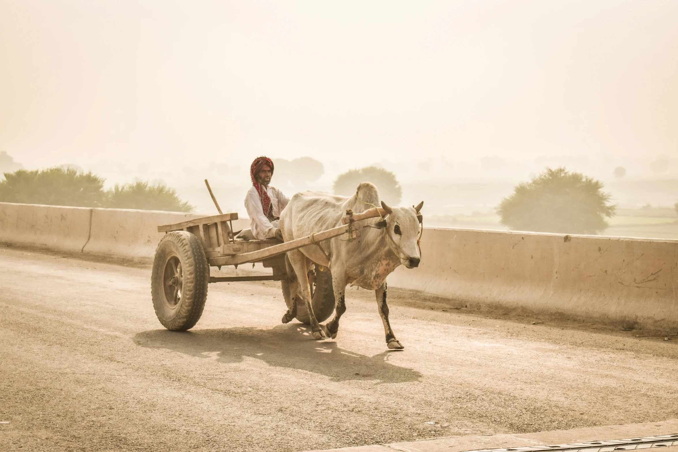 an old ox pulling a cart on a dirt road