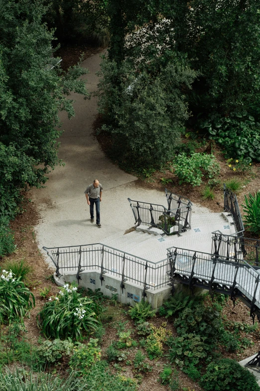 man standing on cement pathway surrounded by trees