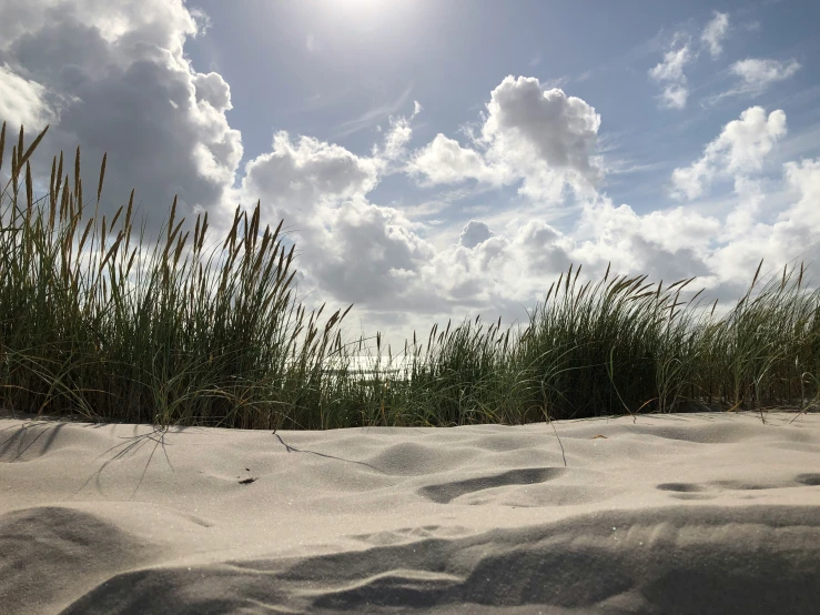 a grassy area next to a beach with the sun