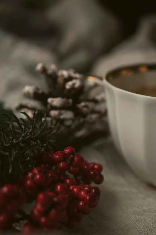 a cup of coffee is near holly and pine cones