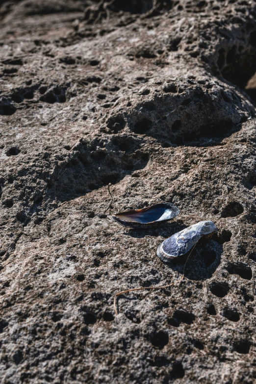 shoes are left on the ground by the water