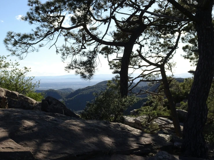 a man with his legs up on top of a large rock near a tree