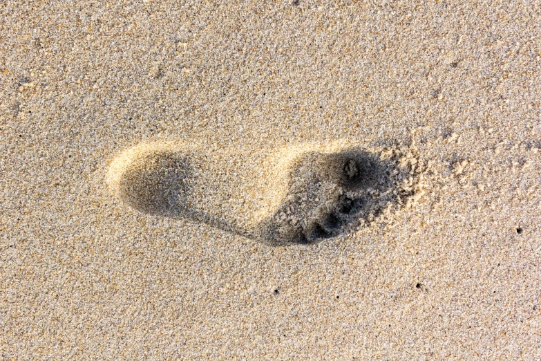 a small white object is in the sand