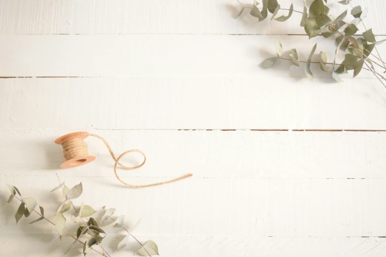 a table top with eucalyptus nches and an orange hat on it