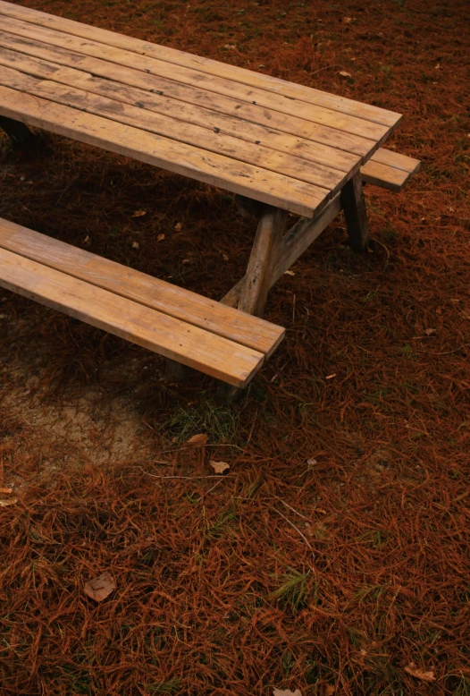 a bench that is in the grass near some leaves